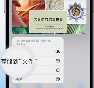 南康apple维修中心分享iPhone文件应用中存储和找到下载文件