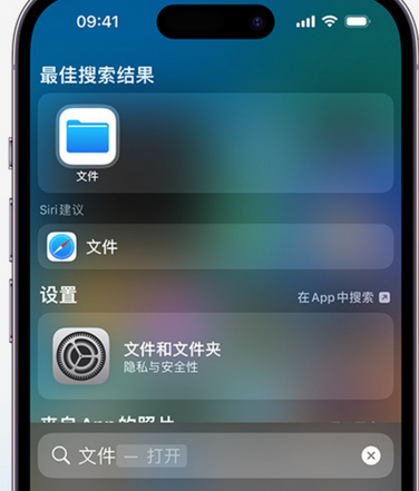 南康apple维修中心分享iPhone文件应用中存储和找到下载文件 