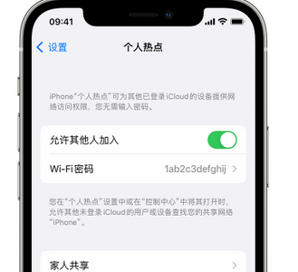 南康apple服务站点分享iPhone上个人热点丢失了怎么办 