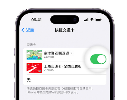 南康apple维修点分享iPhone上更换Apple Pay快捷交通卡手绘卡面 