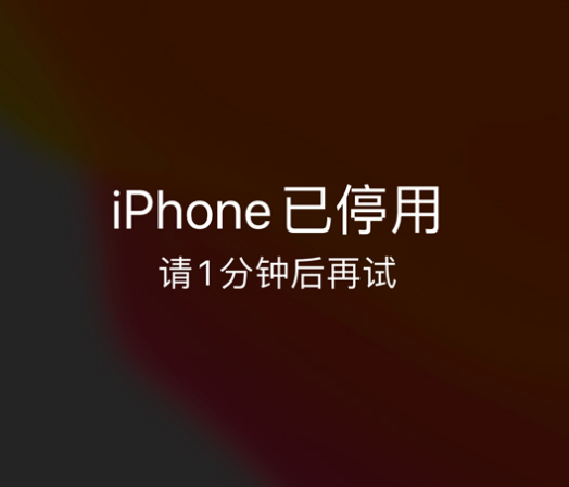 南康苹果手机维修分享:iPhone 显示“不可用”或“已停用”怎么办？还能保留数据吗？ 