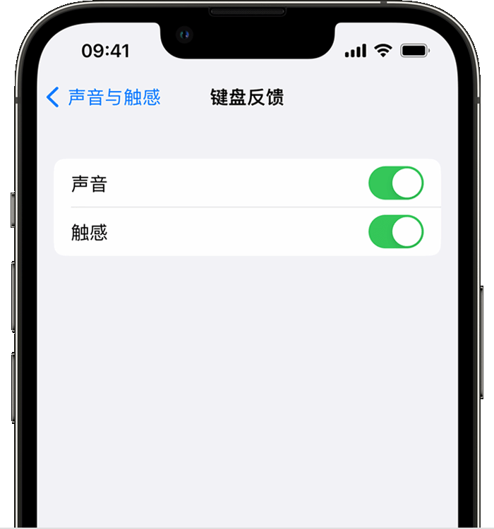 南康苹果14维修店分享如何在 iPhone 14 机型中使用触感键盘 