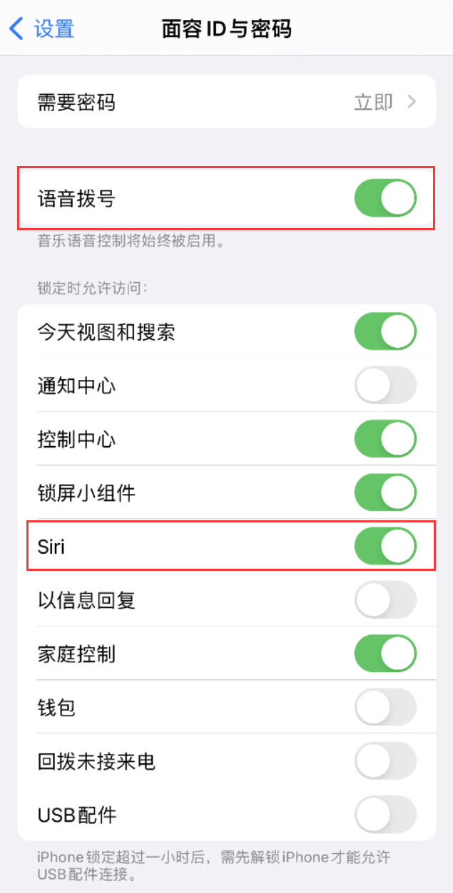 南康苹果维修网点分享不解锁 iPhone 的情况下通过 Siri 拨打电话的方法 