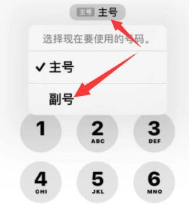 南康苹果14维修店分享iPhone 14 Pro Max使用副卡打电话的方法 