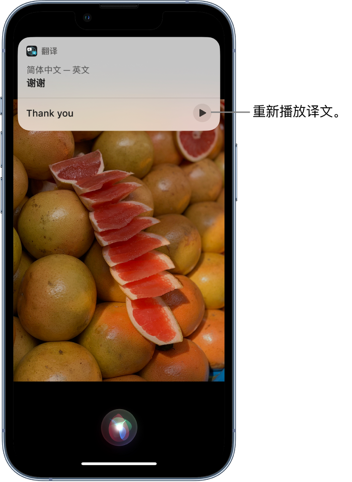 南康苹果14维修分享 iPhone 14 机型中使用 Siri：了解 Siri 能帮你做什么 