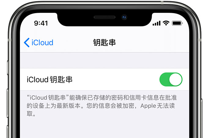 南康苹果手机维修分享在 iPhone 上开启 iCloud 钥匙串之后会储存哪些信息 