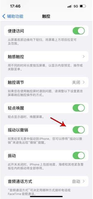 南康苹果手机维修分享iPhone手机如何设置摇一摇删除文字 